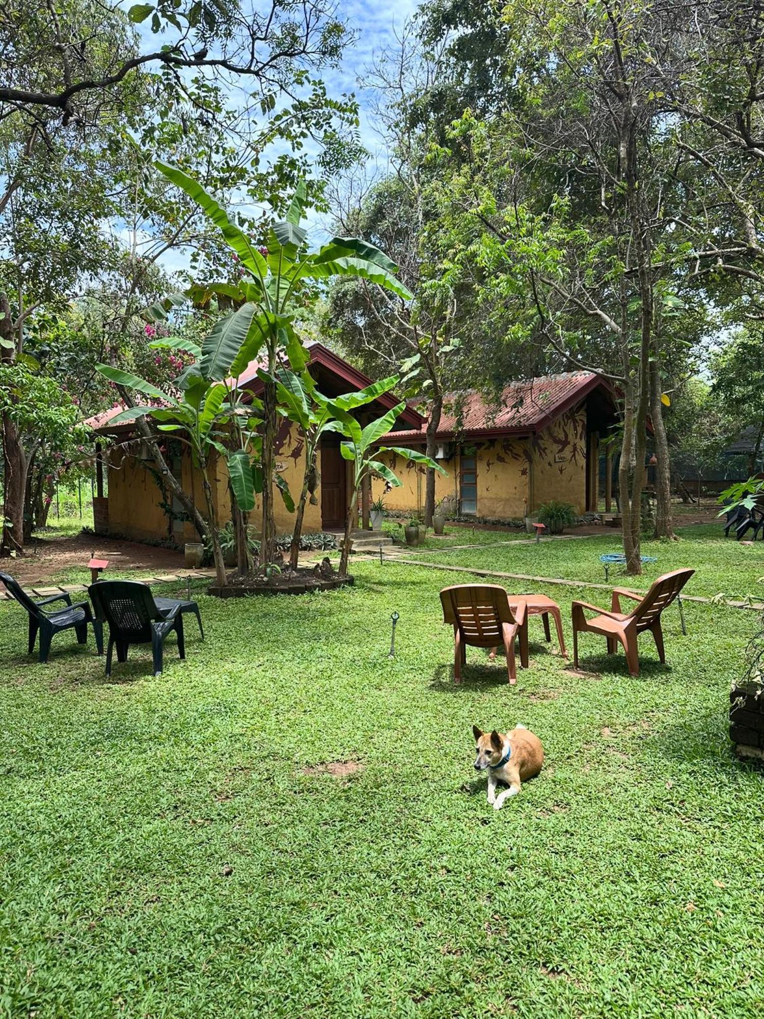 Sat Nam Village Hotel 锡吉里亚 外观 照片