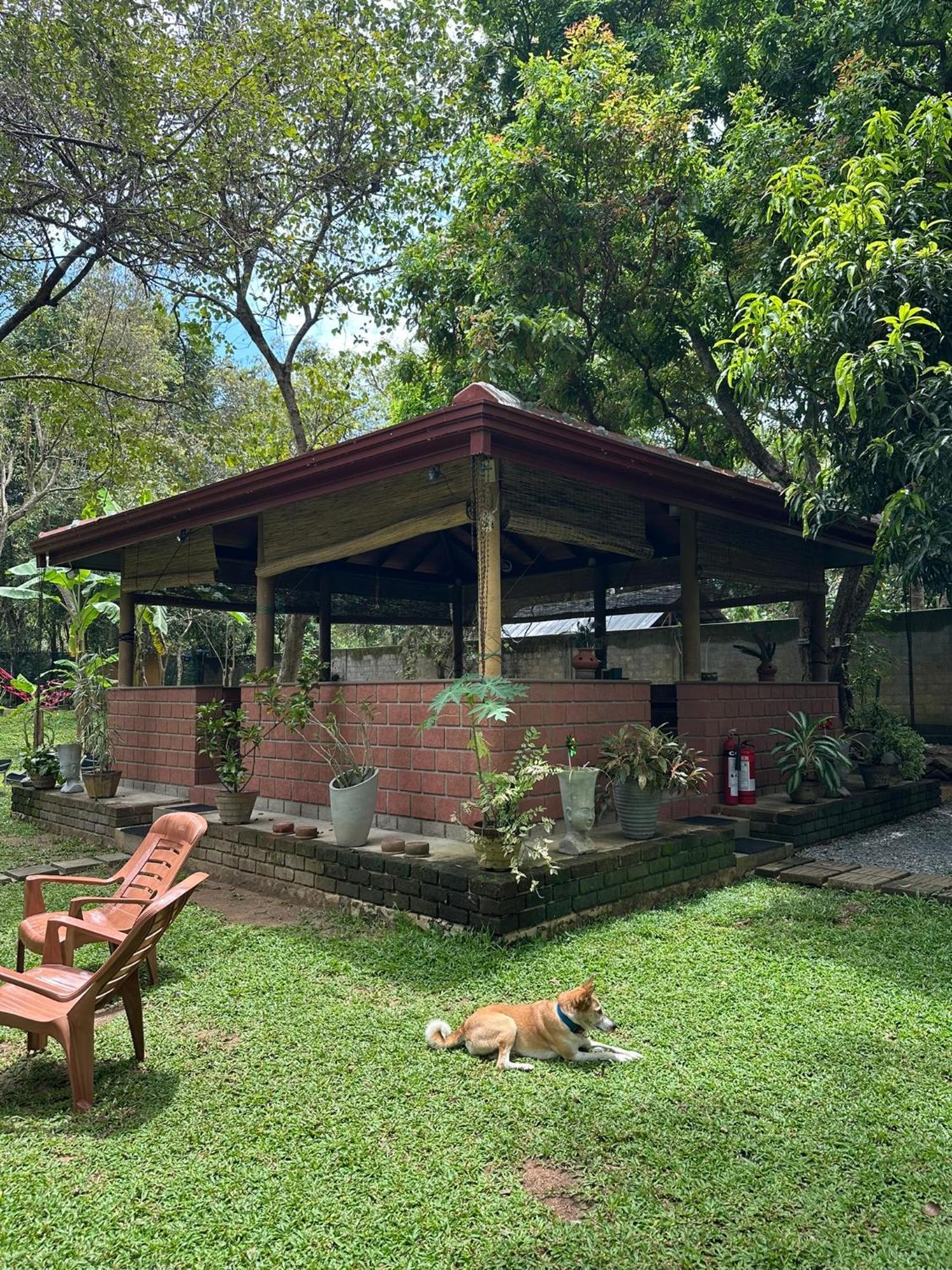 Sat Nam Village Hotel 锡吉里亚 外观 照片